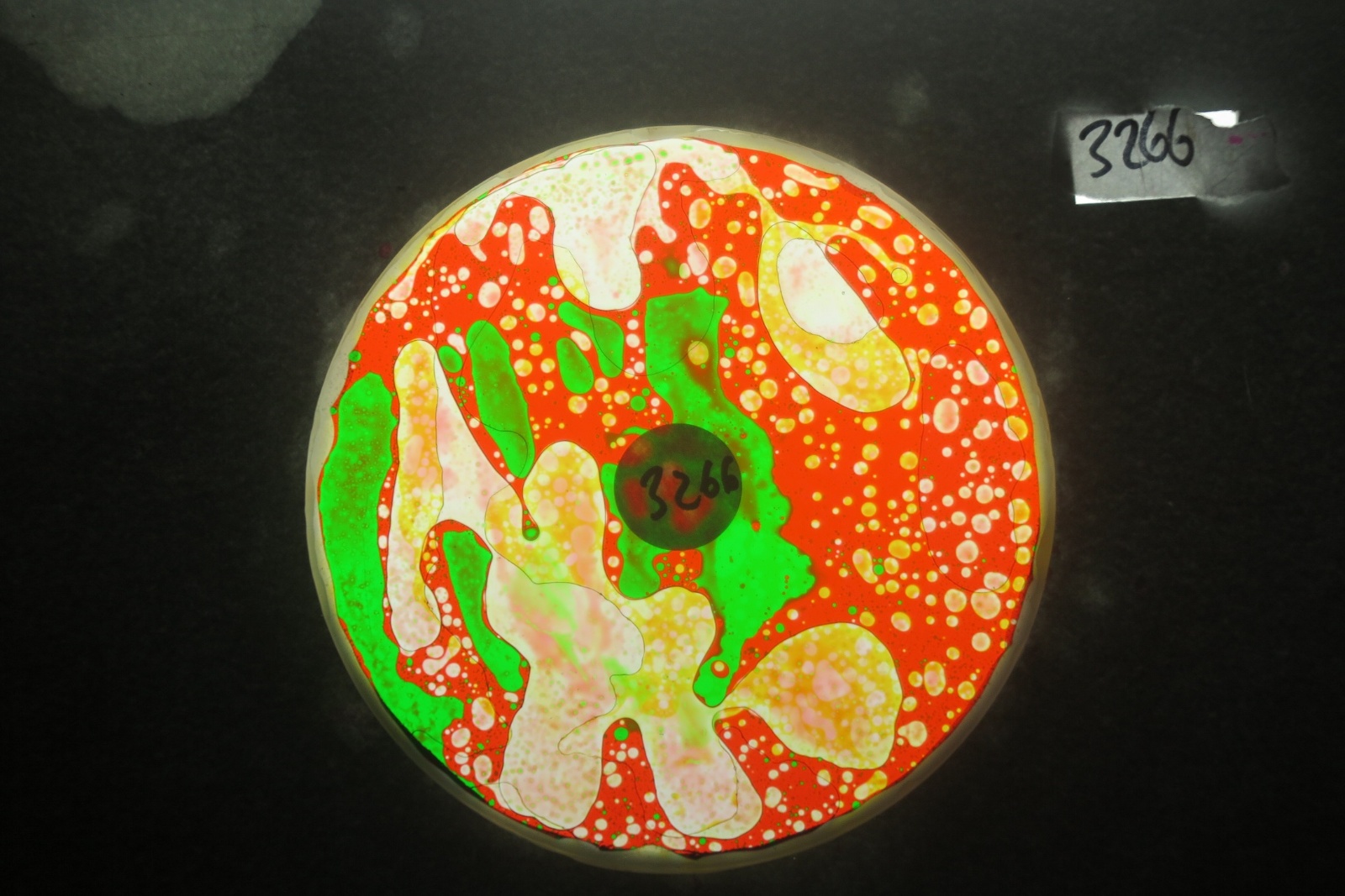 BV3266 bubble vision oil wheel